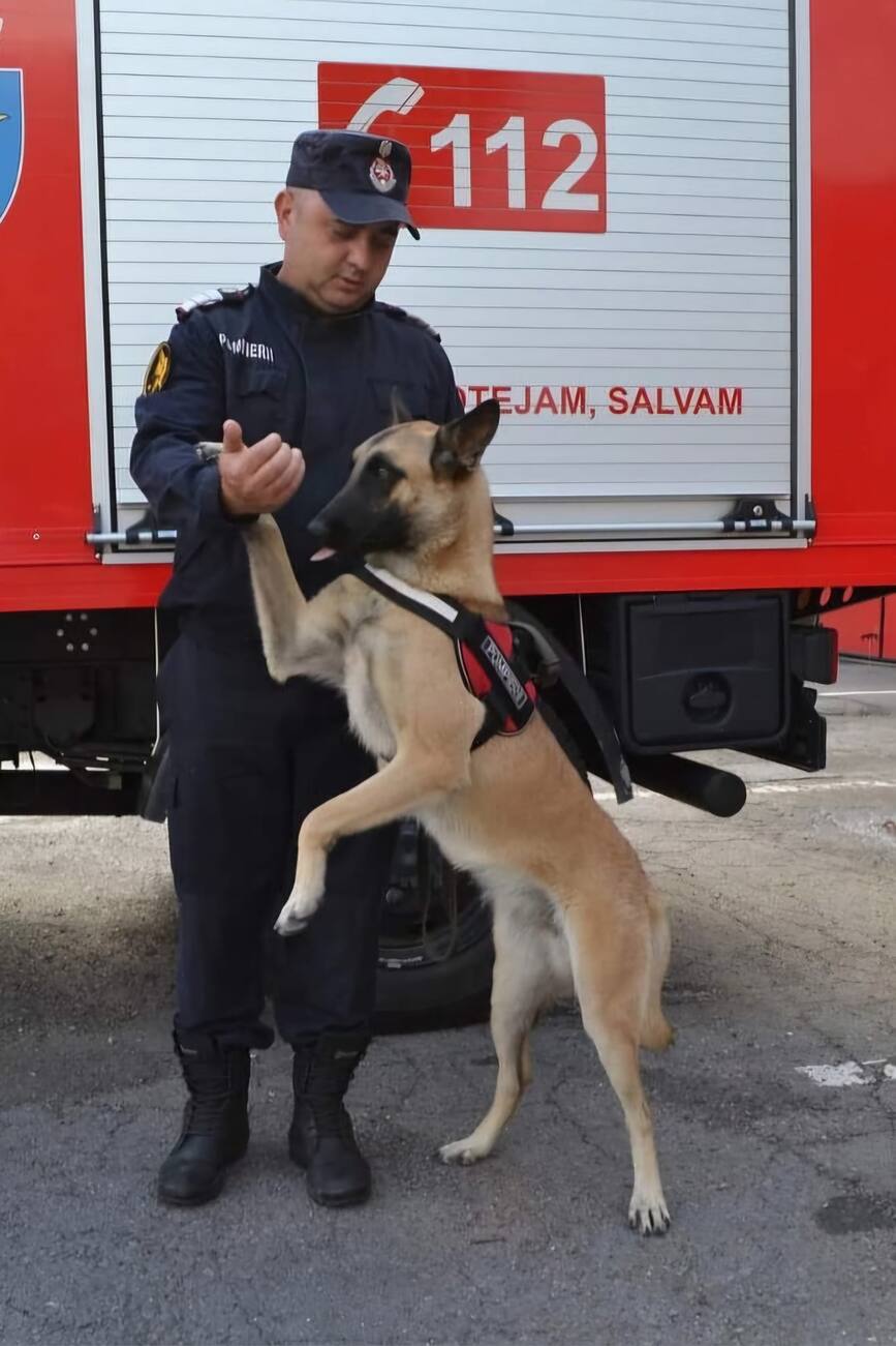 Cosmin si Kara   echipa canina de pompieri | imaginea 1