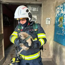 Portret de Pompier Respect Sublocotenent Gavrila Mirel Andrei | imaginea 1