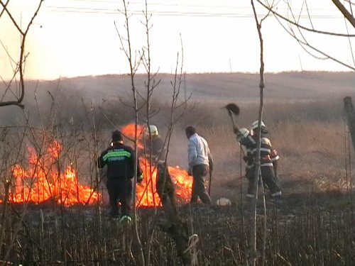 Atentie la incendiile de vegetatie uscata | imaginea 1