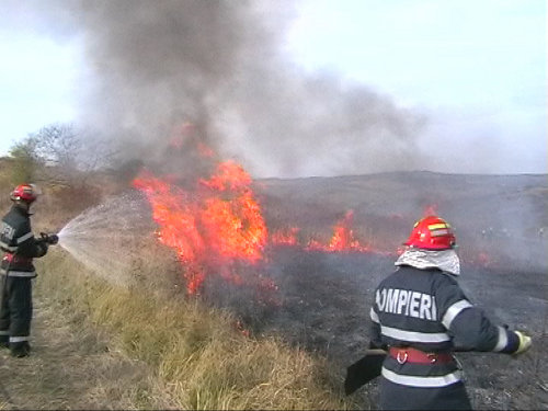 Atentie la incendiile de vegetatie uscata | imaginea 2