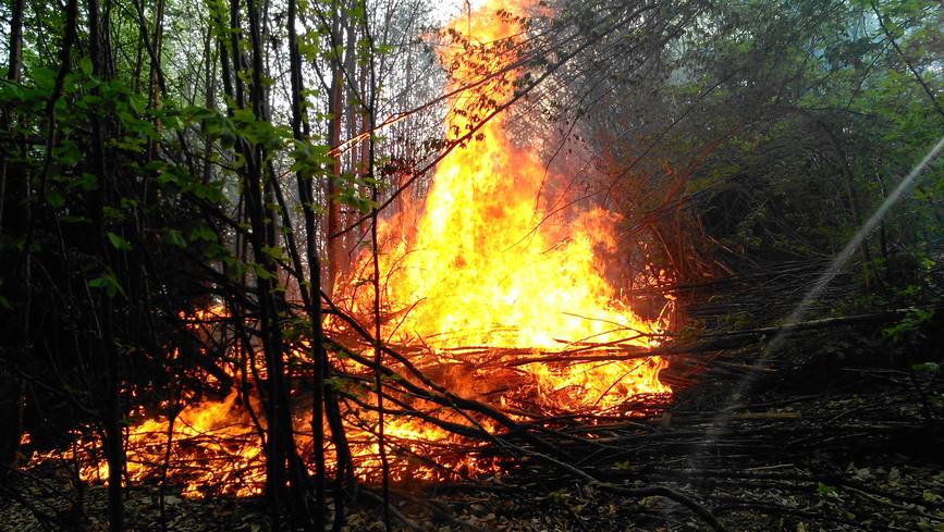 Scadere semnificativa  in acest an  a numarului incendiilor de vegetatie uscata si litiera de padure | imaginea 1