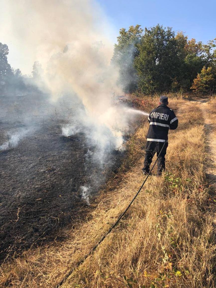 Amenda aplicata de ISU Mehedinti pentru incendierea terenurilor | imaginea 1