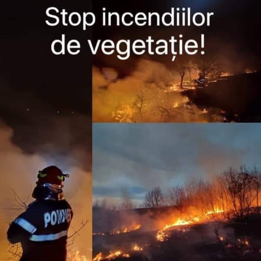 A fost prins dand foc si a fost sanctionat cu amenda de 2500 de lei | imaginea 1
