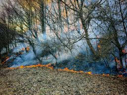 19 persoane  sanctionate de inspectorii de prevenire | imaginea 1