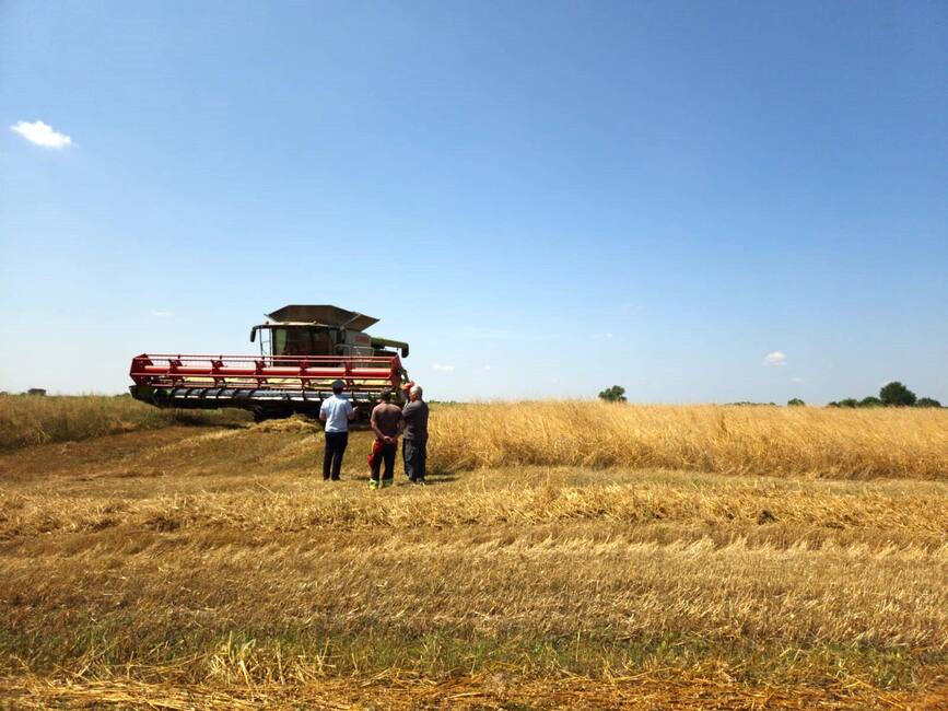 Masuri de prevenire a incendiilor de vegetatie uscata si culturi agricole | imaginea 2