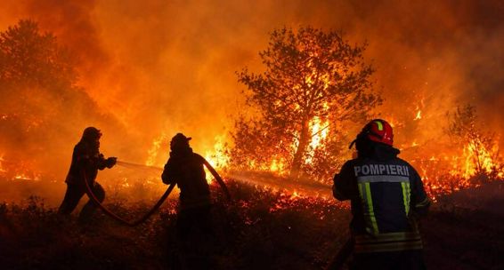 Astazi arde vegetatia uscata  maine poate fi casa ta | imaginea 1
