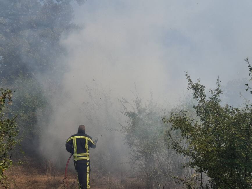 10 ore de lupta cu incendiile de vegetatie | imaginea 1