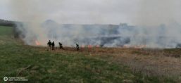 Incendiu de vegetatie  gestionat de voluntarii SVSU Vulcan | imaginea 1