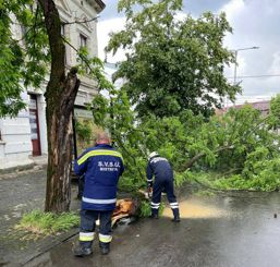 Spirit civic si reactie prompta in Bistrita | imaginea 1