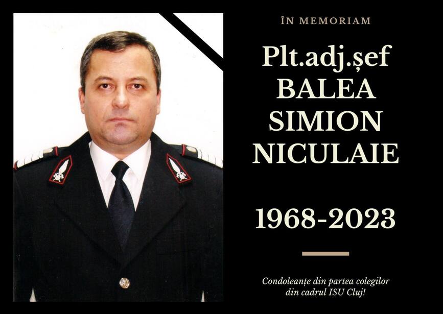 In memoriam Plutonier adjutant sef  r  Balea Simion Niculaie | imaginea 1